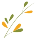 Naturrein
