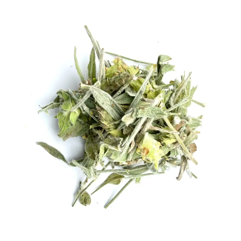 Sideritis Scardica Verschnitt/".Wahl