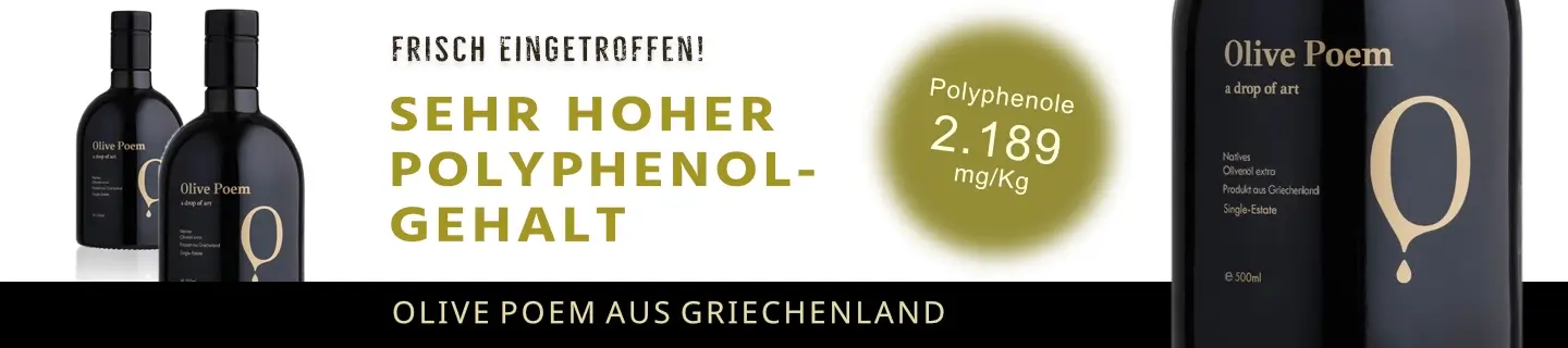 SW6-BANNER.webp?ts=1774266596